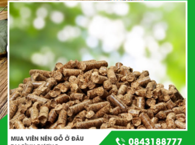 Mua viên nén gỗ ở đâu tại Bình Dương giá tốt chất lượng cao uy tín