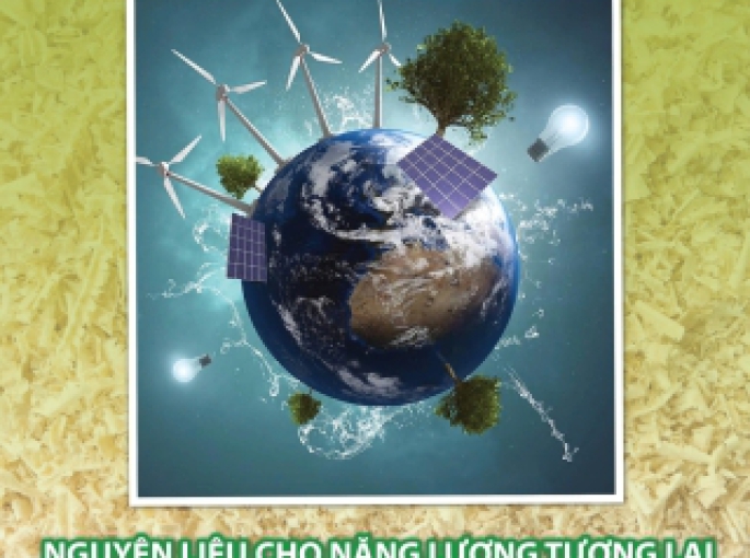 Giải pháp giảm phát thải khí nhà kính cho sản xuất – Định hướng bền vững từ Phong Thái Thuận