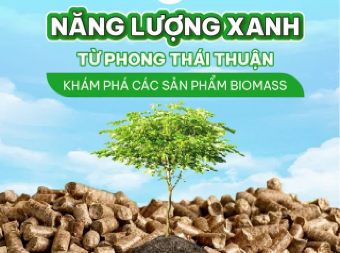 Chất Đốt Lò Hơi – Giải Pháp Nhiên Liệu Hiệu Quả và Bền Vững từ Phong Thái Thuận