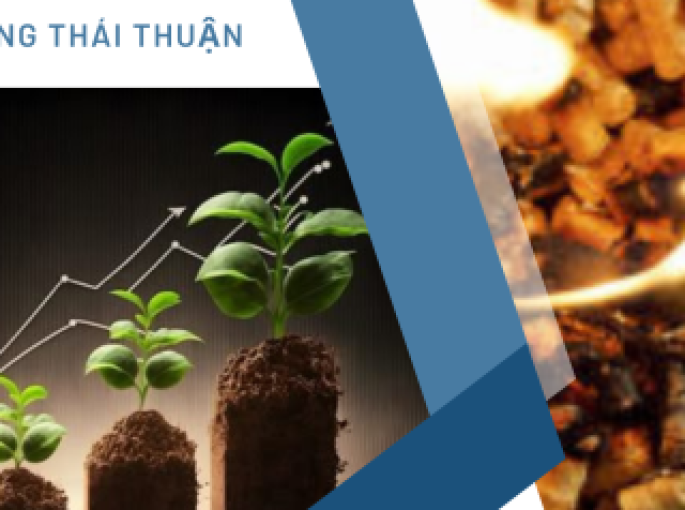 Việt Nam Bổ Sung Năng Lượng Sinh Khối Vào Cơ Chế Mua Bán Điện Trực Tiếp (DPPA)