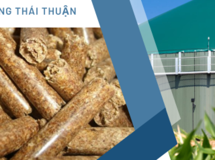 Thực Trạng Thị Trường Viên Nén Gỗ Miền Trung và Miền Nam: Giá Giảm, Chất Lượng Bị Đẩy Cao