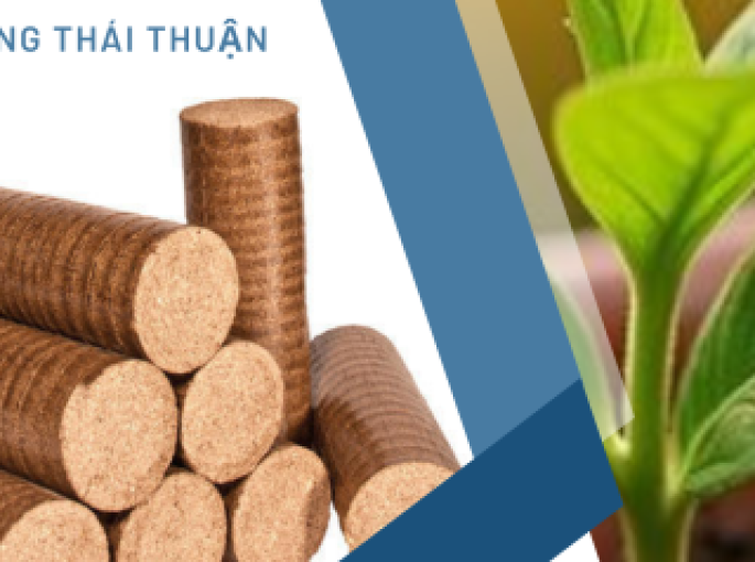 Củi D90 Liên Tục Cháy Hàng: Lý Do Hút Hàng Và Thách Thức Hiện Tại