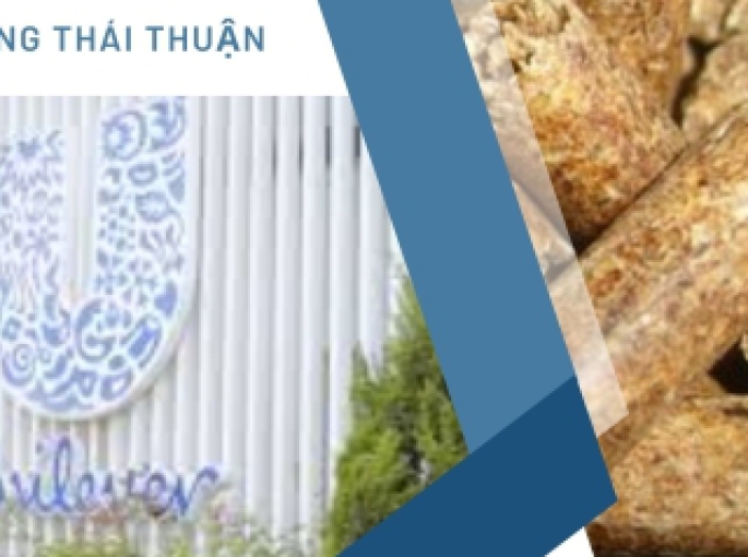 Unilever Việt Nam và Biomass: Hành Trình Xanh Hóa Năng Lượng