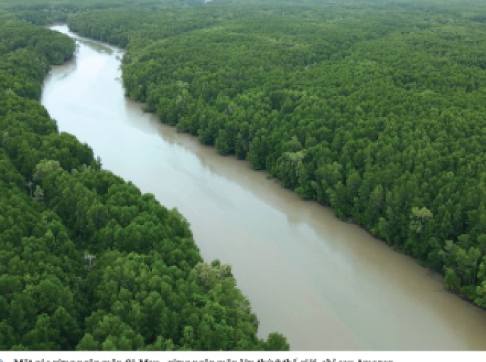 🔥 Vệ Tinh Đo Lường Sinh Khối Rừng Airbus: Cách Mạng Giám Sát Rừng & Tương Lai Năng Lượng Sinh Khối 🌍🌱