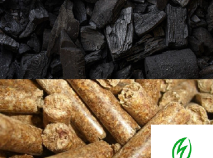 Nhiên Liệu Sinh Học Có Thực Sự Tốt Hơn Nhiên Liệu Hóa Thạch?