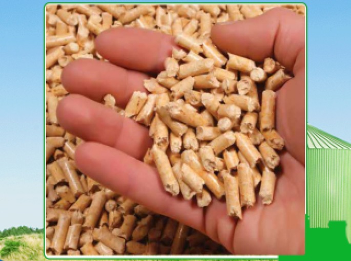 Hướng dẫn chọn công ty sản xuất viên nén gỗ tốt nhất tại Tây Ninh