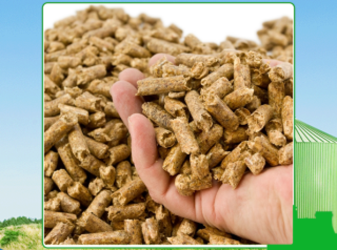 Công ty sản xuất viên nén gỗ Tây Ninh uy tín