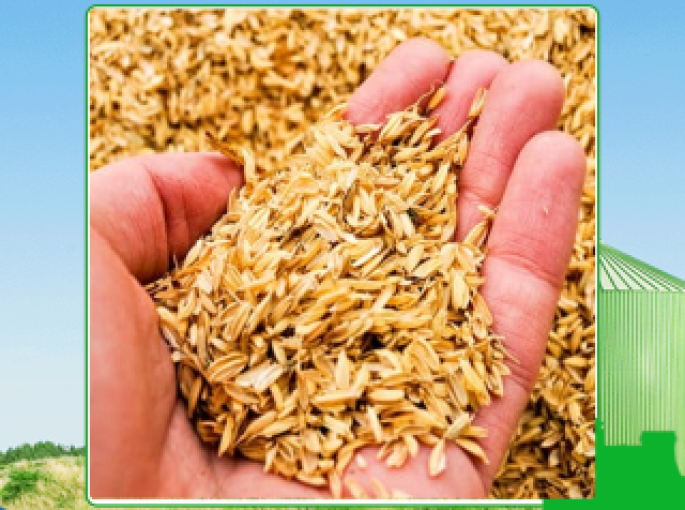 Cung cấp trấu số lượng giá tốt tại Long An