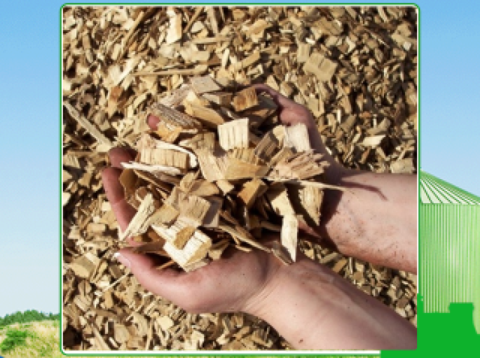 Dăm gỗ chất lượng giá tốt tại Long An