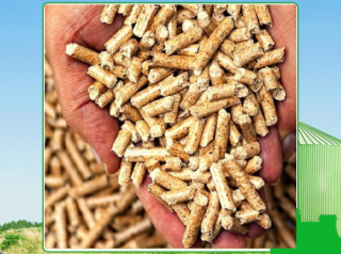 Đơn vị cung cấp viên nén gỗ uy tín tại Long An