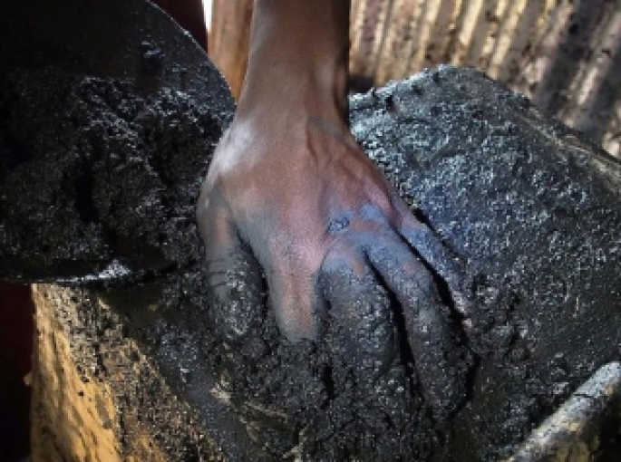 Biochar Và Thị Trường Tín Chỉ Carbon: Giải Pháp Mới Trong Cuộc Chiến Biến Đổi Khí Hậu