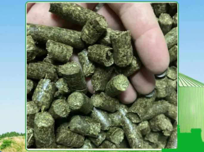 Cập nhật giá viên nén gỗ tại Tây Ninh mới nhất