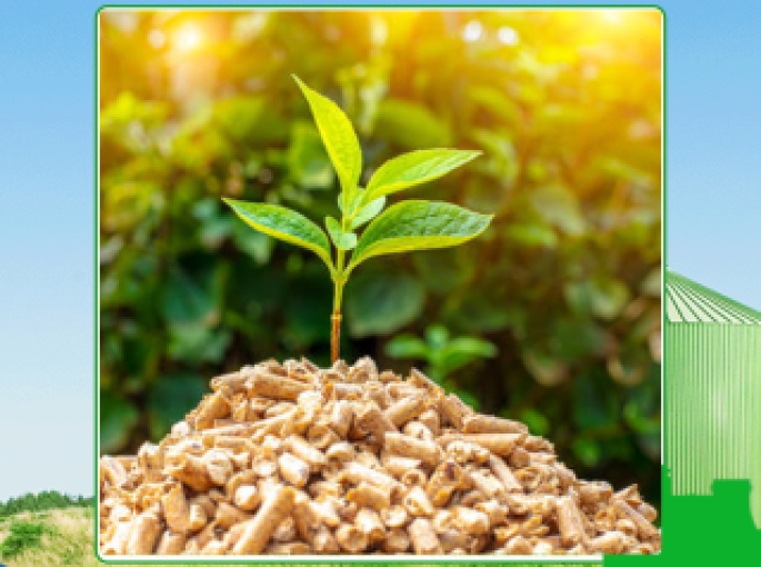 Giá viên nén gỗ tại Tây Ninh tiết kiệm chi phí