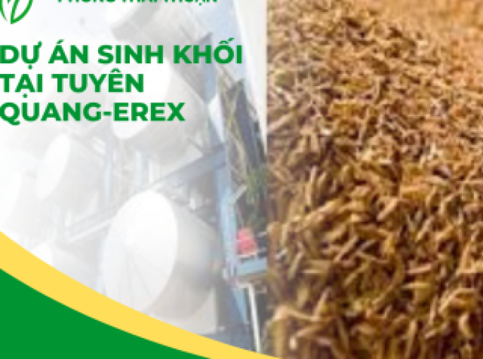Erex Sắp Bắt Đầu Sản Xuất Thử Nhà Máy Sinh Khối Tại Việt Nam: Bước Tiến Mới Cho Năng Lượng Tái Tạo