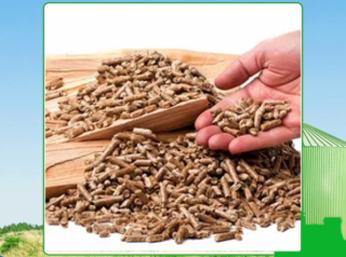 Chọn lựa nhà cung cấp viên nén gỗ Tây Ninh phù hợp nhất