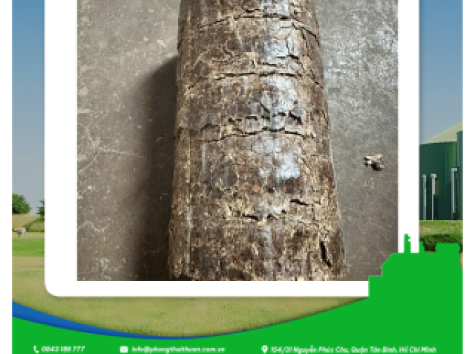 Củi Ép Mùn Cưa – Giải Pháp Nhiên Liệu Sinh Khối Hiệu Quả Từ Phong Thái Thuận