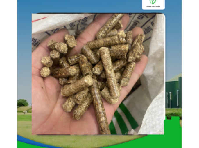 Thị Trường Viên Nén Sinh Khối Toàn Cầu Dự Báo Tăng Trưởng Mạnh, Được Đẩy Bằng Chuyển Đổi Năng Lượng Tái Tạo