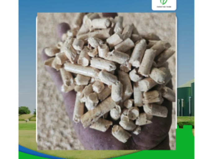 Viên Nén Gỗ Thông: Cực Phẩm Chất Đốt Cao Cấp, Lựa Chọn Hàng Đầu Cho Nhu Cầu Khắt Khe