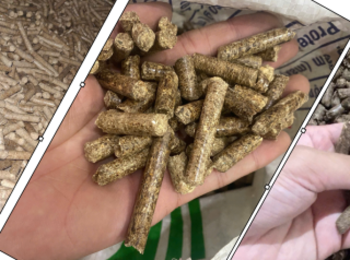 Phân Biệt Viên Nén Gỗ Qua Màu Sắc: Cách Kiểm Tra Chất Lượng Đơn Giản Và Hiệu Quả