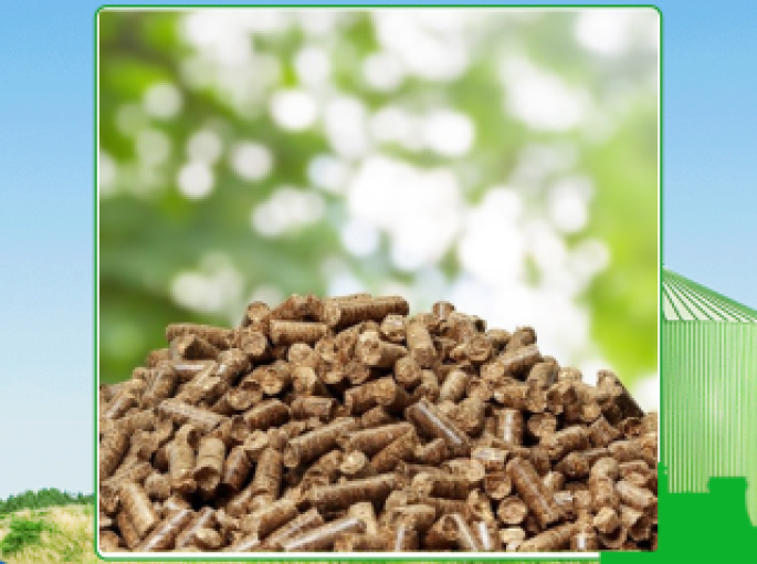 Sử dụng viên gỗ nén tại Tây Ninh hiệu quả hơn