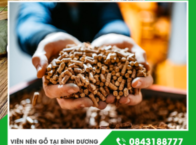 Viên nén gỗ xuất khẩu tại Bình Dương chất lượng cao đáp ứng tiêu chuẩn quốc tế