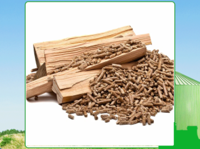 Đánh giá chất lượng viên nén gỗ xuất khẩu Tây Ninh