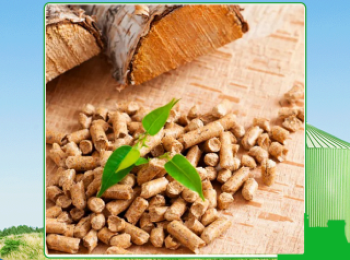 Đánh giá chất lượng viên nén gỗ xuất khẩu hiện nay