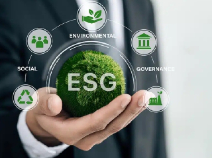 Hiệu Quả Của Nhiên Liệu Sinh Khối Trong Ngành Chế Biến Thực Phẩm