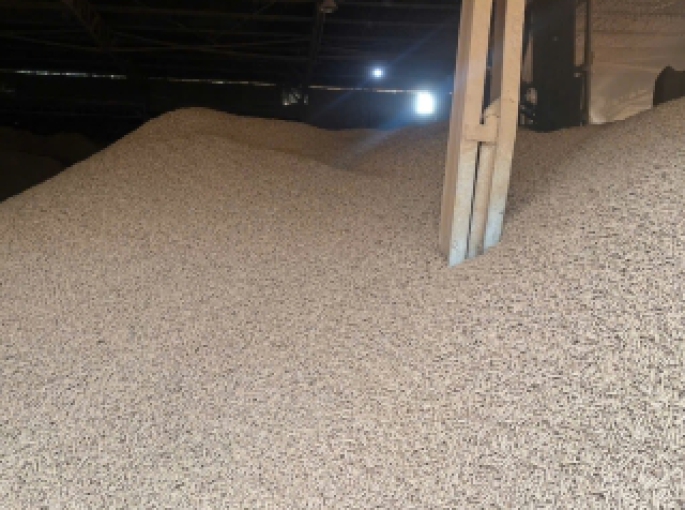 Viên Nén Gỗ Giá Rẻ – Giải Pháp Tiết Kiệm Nhiên Liệu Tối Ưu Cho Doanh Nghiệp